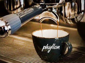 cafe-phyllon-oia